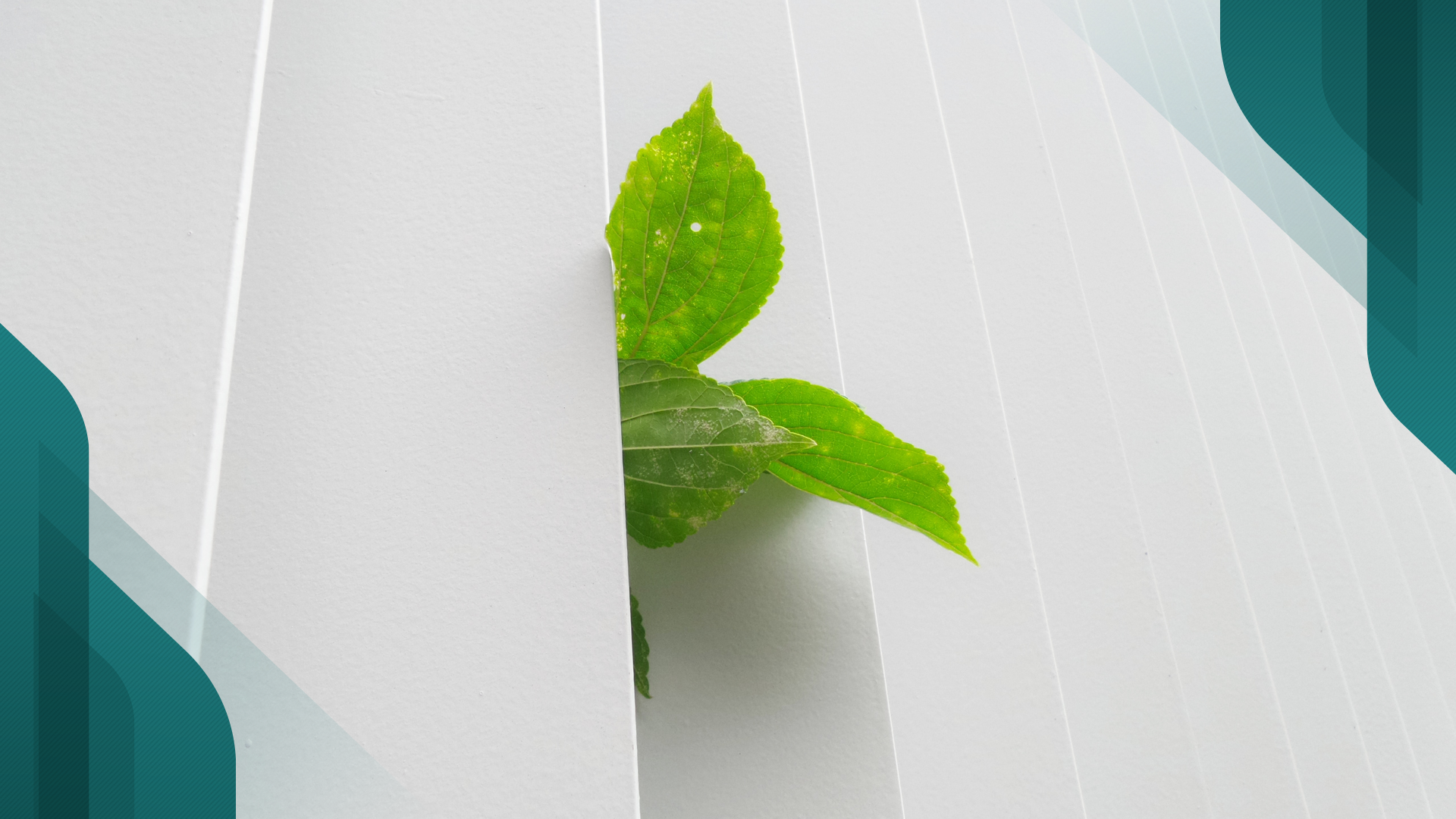 Soluções sustentáveis minimizam o impacto do empreendimento no meio ambiente e trazem economia para os moradores